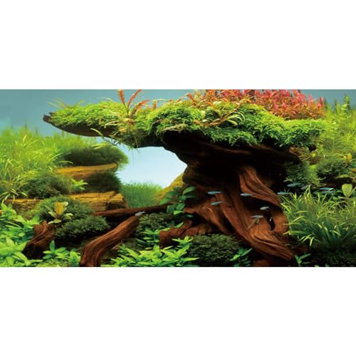 MIRRORANG 61x41cm Holz Aquarium Hintergrund Seetang Aquarium Hintergrund Flussbett & See Aquarium Hintergrund Vinyl Hintergrund von MIRRORANG