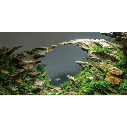 MIRRORANG 76x46cm Stein Aquarium Hintergrund Aquarium Hintergrund Wasserpflanze Flussbett & See Aquarium Hintergrund Vinyl Hintergrund von MIRRORANG