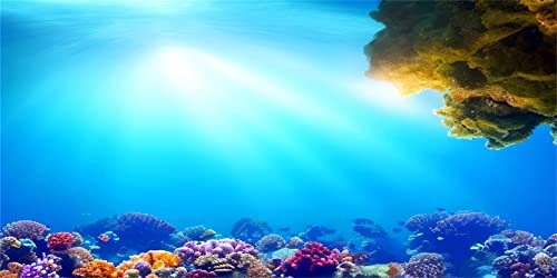 MIRRORANG 76x46cm Unterwasser Aquarium Hintergrund Sonnenschein Blau Meer Korallenriff Unterwasserwelt Aquarium Poster Hintergrund von MIRRORANG