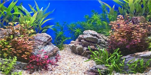 MIRRORANG 76x46cm Wasserpflanze Aquarium Hintergrund Stein Flussbett & See Aquarium Hintergrund Vinyl von MIRRORANG