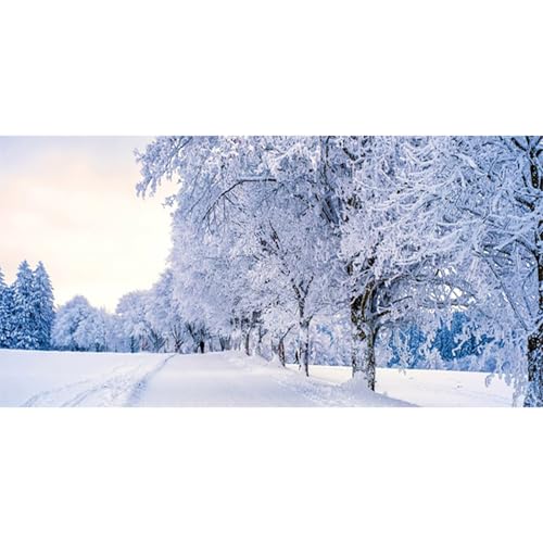 MIRRORANG 76x46cm Weißer, verschneiter Aquarium Hintergrund mit Winter Kiefernwald und Neujahr, langlebiger Aquarium Hintergrund aus Vinyl von MIRRORANG