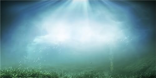 MIRRORANG 91x41cm Aquarium Hintergrund Wasserpflanze Unterwasser Ozean Boden Fisch Tank Hintergrund Langlebig Vinyl Hintergrund von MIRRORANG