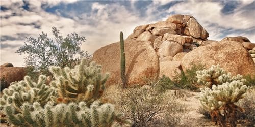 MIRRORANG 91x41cm Strapazierfähiges Vinyl Terrarium Hintergrund Blauer Himmel Felsen Riesiger Kaktus Gobi Sonne und Wüste Reptil Lebensraum Hintergrund von MIRRORANG