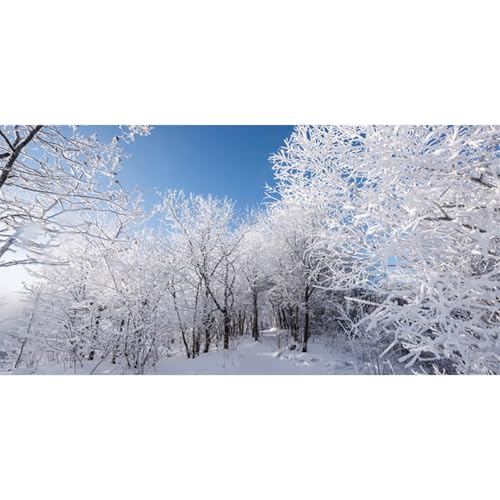 MIRRORANG 91x41cm Verschneite Waldlandschaft, Aquarium Hintergrund mit Winter Schneebedeckten Bäumen, Neujahr, Aquarium Hintergrund aus Vinyl von MIRRORANG