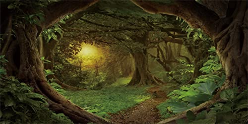 MIRRORANG 91x50cm Psychedelic Forest Terrarium Hintergrund Dim Old Trees Woodland Reptile Habitat Hintergrund Grün Regenwald Aquarium Hintergrund Vinyl Hintergrund MIRRORANG 91x50cm Psychedelic Forest Terrarium Hintergrund Dim Old Trees Woodland Reptile Habitat Hintergrund Grün Regenwald Aquarium Hintergrund Vinyl Hintergrund von MIRRORANG