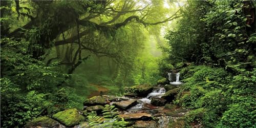 MIRRORANG 91x50cm Tropischer Regenwald Terrarium Hintergrund Wasserfall Aquarium Hintergrund See Wasser Nebel Grüner Baum Reptilien Lebensraum Hintergrund Haltbarer Vinyl Hintergrund von MIRRORANG