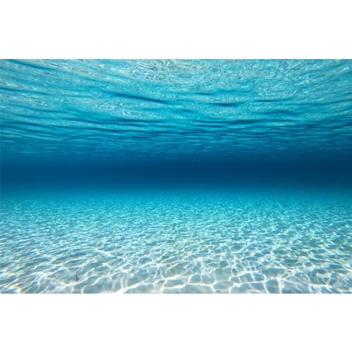 MIRRORANG 91x50cm Unterwasser-Thema Aquarium Hintergrund Blau Ozean Unterwasserwelt Aquarium Hintergrund Aquarium Hintergründe Kulisse MIRRORANG 91x50cm Unterwasser-Thema Aquarium Hintergrund Blau Ozean Unterwasserwelt Aquarium Hintergrund Aquarium Hintergründe Kulisse von MIRRORANG
