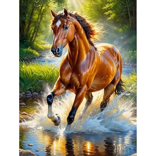 MISCER Diamond Painting für Erwachsene, Diamond Painting kit, Pferd 5D Diamant Malerei Set Anfänger, Tier DIY Diamant Malerei Basteln Bilder Arts Geschenk für Zuhause Wand Deko 30x40cm MISCER Diamond Painting für Erwachsene, Diamond Painting kit, Pferd 5D Diamant Malerei Set Anfänger, Tier DIY Diamant Malerei Basteln Bilder Arts Geschenk für Zuhause Wand Deko 30x40cm von MISCER