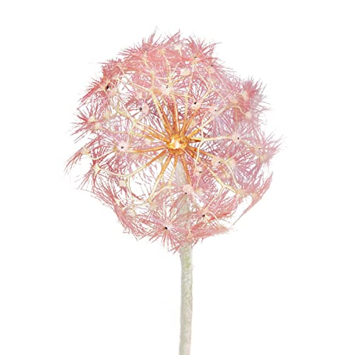 MISNODE Künstliche Pusteblume, 91,9 cm, 2 Stück, riesige, schöne Kunstpoff-Blumen, künstliche Löwenzahn, Brautstrauß mit Stiel, für Zuhause, Büro, Dekoration, rosa von MISNODE