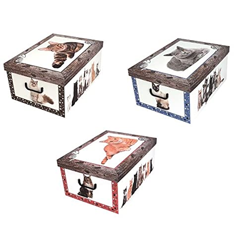 MISS SPACE Katzentruhe ASS 52 x 40 x 25 7037 von MISS SPACE
