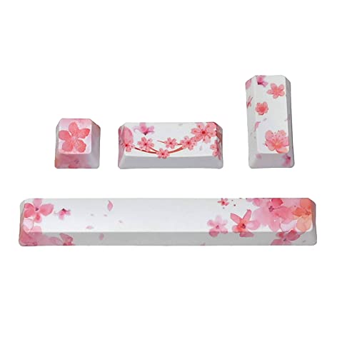 MISUVRSE OEM Profil 4 Tasten Tastenkappen Set Eingabe Leertaste 6 25 U PBT Farbstoffsublimation Mechanische Tastatur Tastenkappe Querformat Tastenkappe MISUVRSE OEM Profil 4 Tasten Tastenkappen Set Eingabe Leertaste 6 25 U PBT Farbstoffsublimation Mechanische Tastatur Tastenkappe Querformat Tastenkappe von MISUVRSE