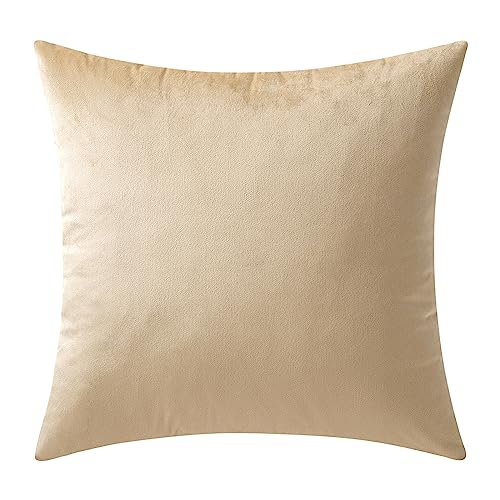 MIULEE 1 Stück Samt Kissenbezug Kissenhülle Dekorative Sofakissen Dekokissen Deko Couchkissen Zierkissen Bezug mit Verstecktem Reißverschluss für Sofa Schlafzimmer 40x40 cm Beige MIULEE 1 Stück Samt Kissenbezug Kissenhülle Dekorative Sofakissen Dekokissen Deko Couchkissen Zierkissen Bezug mit Verstecktem Reißverschluss für Sofa Schlafzimmer 40x40 cm Beige von MIULEE