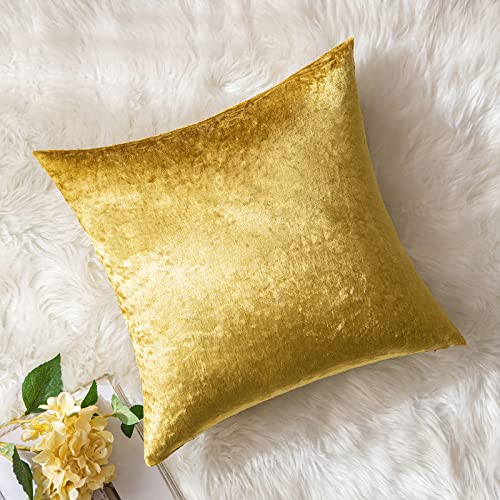 MIULEE 1 Stück Samt Kissenbezug Kissenhülle Dekorative Sofakissen Dekokissen Deko Couchkissen Zierkissen Bezug mit Verstecktem Reißverschluss für Sofa Schlafzimmer 60x60 cm Golden Luxuriös MIULEE 1 Stück Samt Kissenbezug Kissenhülle Dekorative Sofakissen Dekokissen Deko Couchkissen Zierkissen Bezug mit Verstecktem Reißverschluss für Sofa Schlafzimmer 60x60 cm Golden Luxuriös von MIULEE