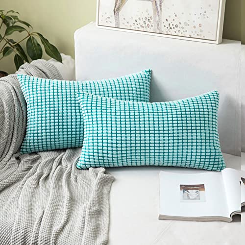 MIULEE 2er Set Kissenbezüge Kordsamt Dekokissen Kissenbezug Sofakissen Dekorativ Couchkissen Kissenhülle Bezug Weich für Wohnzimmer Schlafzimmer 12x20 Inch, 30x50 cm Hellblau von MIULEE