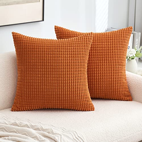 MIULEE 2er Set Kissenbezug Kordsamt Dekokissen Kissenbezüge Sofakissen Dekorativ Couchkissen Zierkissen Kissenhülle Moderne Bezug Weich für Sofa Wohnzimmer Schlafzimmer 40x40 cm Karamell von MIULEE