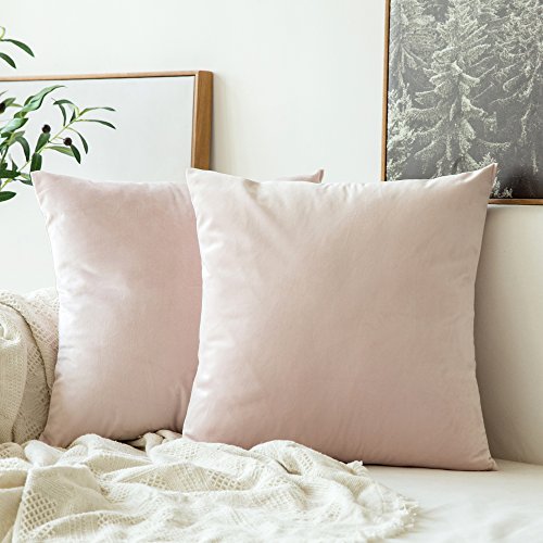 MIULEE 2er Set Samt Kissenbezug Kissenhülle Dekokissen Kissenbezüge Sofakissen Samtkissen Dekorative Couchkissen Bezug Zierkissen für Sofa Wohnzimmer Schlafzimmer 55x55 cm Rosa von MIULEE