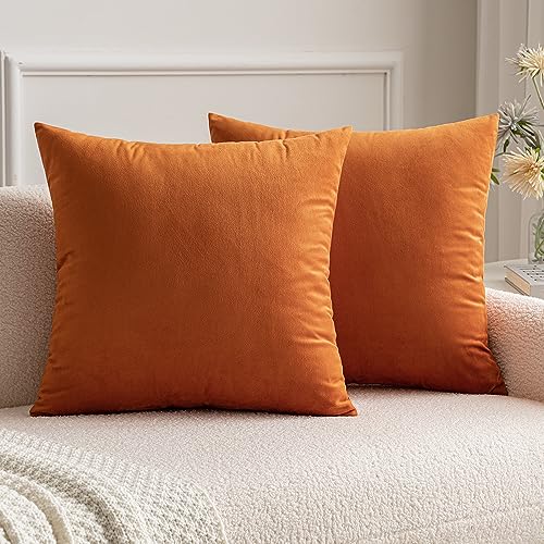 MIULEE 2er Set Samt Kissenbezüge Kissenhülle Kissenbezug Sofakissen Dekorative Dekokissen Couchkissen mit Verstecktem Reißverschluss Sofa Schlafzimmer 35x35 cm Orange von MIULEE