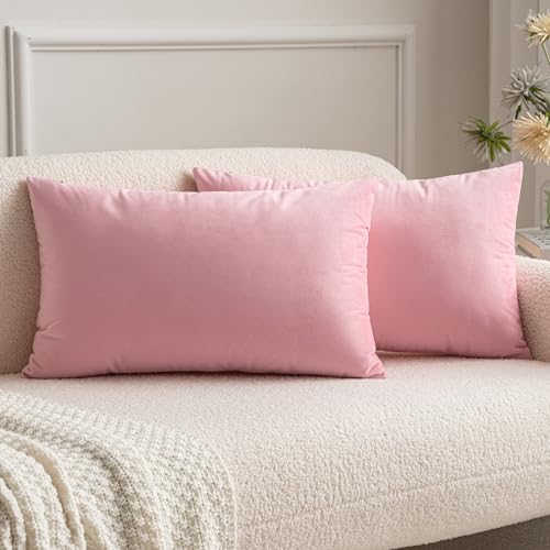 MIULEE 2er Set SAMT Kissenbezug Kissenhülle Dekorative Dekokissen Sofakissen Lendenkissen Wurfkissenbezug mit Verstecktem Reißverschluss Sofa Schlafzimmer 12x 20 Inch 30 x 50 cm Sakura Rosa von MIULEE