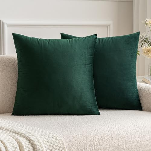 MIULEE 2er Set Samt Kissenbezüge Kissenhülle Kissenbezug Sofakissen Dekorative Dekokissen Couchkissen mit Verstecktem Reißverschluss Sofa Schlafzimmer 30x30 cm Dunkelgrün von MIULEE