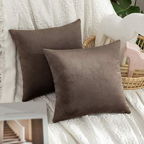 MIULEE 2er Set Samt Kissenbezüge Kissenhülle Kissenbezug Sofakissen Dekorative Dekokissen Couchkissen mit Verstecktem Reißverschluss Sofa Schlafzimmer 30x30 cm Dunkle Taupe von MIULEE