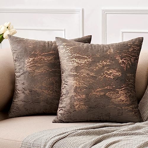 MIULEE 2er Set Samt Kissenbezug Moderne Zierkissenbezug Dekorative Kissenbezüge Weich Kissenhülle Dekohülle Couchkissen Sofakissen Dekokissen Deko für Wohnzimmer Schlafzimmer 50x50 cm Braun von MIULEE