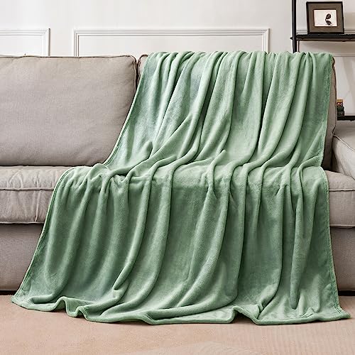 MIULEE Kuscheldecke Flauschig Decke Fleecedecke Wohndecken Couchdecke Flauschig Überwurf Mikrofaser Tagesdecke Sofadecke Blanket Für Bett Sofa Schlafzimmer Büro 130x150 cm Matcha Grün von MIULEE