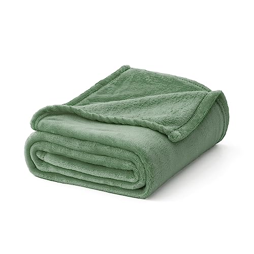 MIULEE Kuscheldecke Flauschig Decke Fleecedecke Wohndecken Couchdecke Flauschig Überwurf Mikrofaser Tagesdecke Sofadecke Blanket Für Bett Sofa Schlafzimmer Büro 230x270 cm Matcha Grün von MIULEE