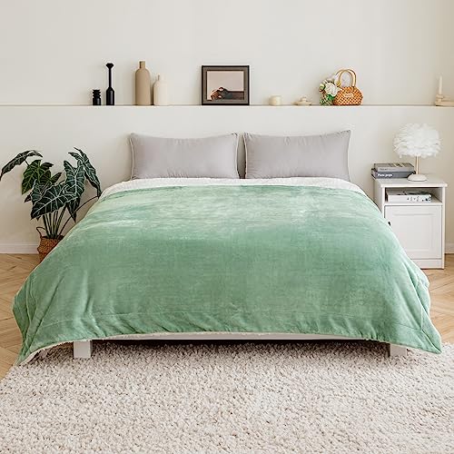 MIULEE Kuscheldecke Flauschig Decke Fleecedecke Wohndecken warm Sherpa Sofaüberwurf Decke Flauschig Überwurf Mikrofaser Tagesdecke Für Bett Sofa Schlafzimmer Büro 230x270 cm Matcha Grün von MIULEE