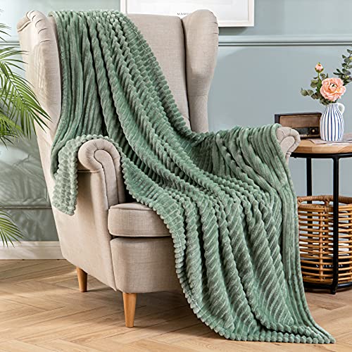 MIULEE Kuscheldecke Fleecedecke Flanell Decke Einfarbig Wohndecken Couchdecke Flauschig Überwurf Mikrofaser Tagesdecke Sofadecke Blanket Für Bett Sofa Schlafzimmer Büro 50x60Inch 125x150cm Matcha Grün von MIULEE