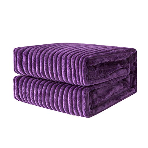 MIULEE Kuscheldecke Fleecedecke Flanell Decke Einfarbig Wohndecken Couchdecke Flauschig Überwurf Mikrofaser Tagesdecke Sofadecke Blanket Für Bett Sofa Schlafzimmer Büro 60x80Inch 150x200cm Lila von MIULEE