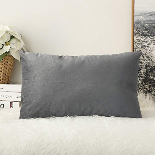 MIULEE Samt Kissenbezug Kissenhülle Bezug Deko Dekokissen Sofakissen Couchkissenbezug mit Verstecktem Reißverschluss für Sofa Schlafzimmer 12x20 Inch 30x50 cm 1 Stück Grau von MIULEE