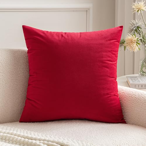 MIULEE 1 Stück Samt Kissenbezug Kissenhülle Dekorative Sofakissen Dekokissen Groß Deko Couchkissen Zierkissen Bezug mit Verstecktem Reißverschluss für Sofa Schlafzimmer 65x65 cm Rot von MIULEE