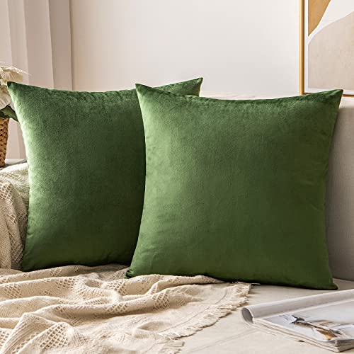 MIULEE Samt Kissenbezug Dekokissen Kissenhülle Zierkissenbezug Dekorative Zierkissenhülle mit Verstecktem Reißverschluss 45x45 cm 2er Set Matcha Grün von MIULEE