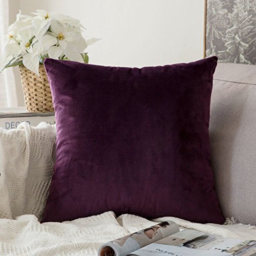 MIULEE Samt Kissenbezug Kissenhülle Dekorative Sofakissen Dekokissen Groß Deko Couchkissen Zierkissen Bezug Zierkissen Versteckter Reißverschluss für Sofa Schlafzimmer 1 Stück 60x60 cm Aubergine Lila von MIULEE