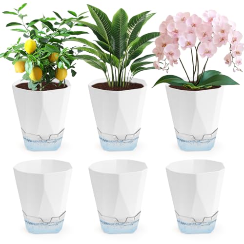 MIUUIPI 6er Set Selbstbewässernde Blumentöpfe, Kräutertopf Küche Set, Blumentopf, Kräutertöpfe Pflanzentopf für Küche Kräuter und Pflanzen Töpfe Ideal für Innen und Balkongärten, 13.5x12.5x8cm von MIUUIPI