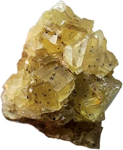 MIUXE Mineraliensteine, natürliche Fluorit-Cluster, Mineralprobesteine ​​und Kristalle, Quarz-Heilkristall, Kristallsteine, Dekoration ZAOQINIYIN (Color : 82g) von MIUXE