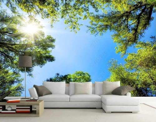 Fototapete 3D Effekt Tapete Wald Himmel Natur 250x175cm Tapeten Vliestapete Wandbilder Schlafzimmer Wanddeko Kinderzimmer Wohnzimmer -MIWEI Wallpaper-ZXY-07455 von MIWEI Wallpaper
