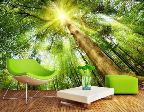 Fototapete 3D Effekt Tapete Wald Sonnenlicht Natur 400x255cm Tapeten Vliestapete Wandbilder Schlafzimmer Wanddeko Kinderzimmer Wohnzimmer -MIWEI Wallpaper-ZXY-08206 von MIWEI Wallpaper