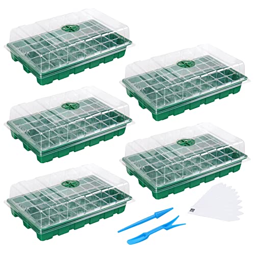 MIXC Mini Gewächshaus 5 Stück 200 Zellen Anzuchtkasten Zimmergewächshaus Anzuchtset Pflanzen Anzucht Gewächshaus Setzling Starter Tabletts Treibhaus Anzuchtschale mit Deckel Gewächshaus von MIXC