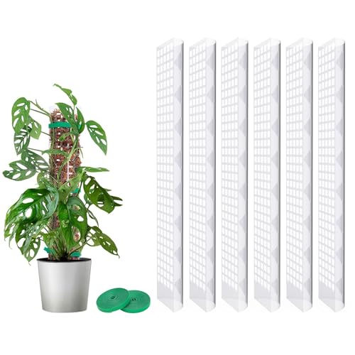 MIXC Moosstab Rankhilfe 6 Stück 61cm Pflanzstab Plastik Pflanzenstütze für Monstera Kletterpflanzen Zimmerpflanzen mit 3m Pflanzenbänder Klett von MIXC