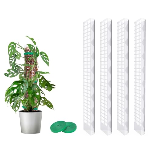 MIXC Moosstab Rankhilfe Monstera 4 Stück 61cm Pflanzstab Plastik Pflanzenstütze für Kletterpflanzen Zimmerpflanzen mit 3m Pflanzenbänder Klett von MIXC