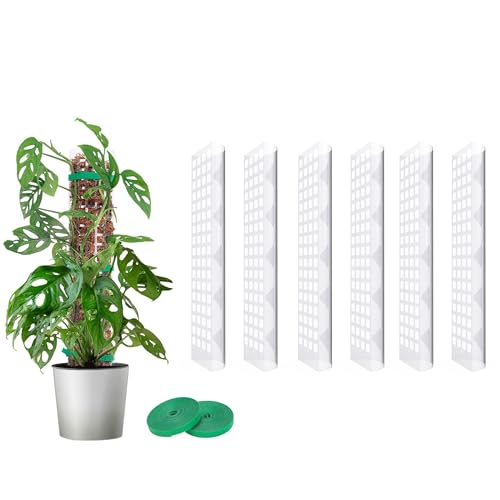 MIXC Moosstab Rankhilfe Zimmerpflanzen 6 Stück 38cm Pflanzstab Plastik Pflanzenstütze für Monstera Kletterpflanzen mit 3m Pflanzenbänder Klett von MIXC