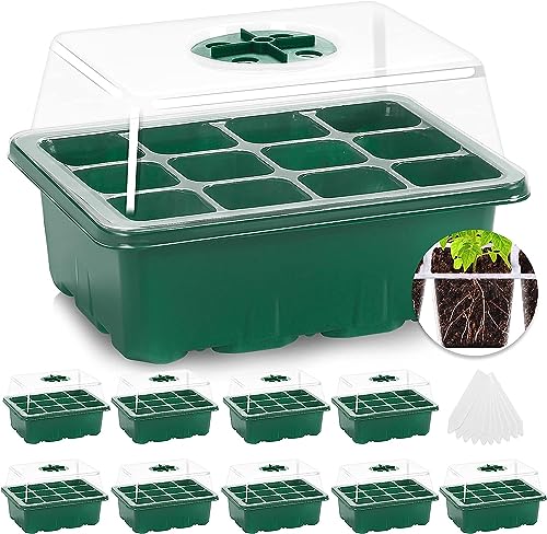 MIXC Zimmergewächshaus Anzuchtkasten 10 Stück 120 Zellen Mini Gewächshaus Klein Anzuchtset Anzuchtplatte mit Belüftung und Bruchsicherer Deckel für Sämling Pflanze,Grün von MIXC