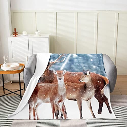 3D Kuscheldecke 220x240 Hirsch Warme Decke Dschungeltiere Flanell Fleecedecke Winterhirsch Flauschig Weich Wohndecke für Sofadecke Couchdecke Sofaüberwurf Bettüberwurf von MIYOLI