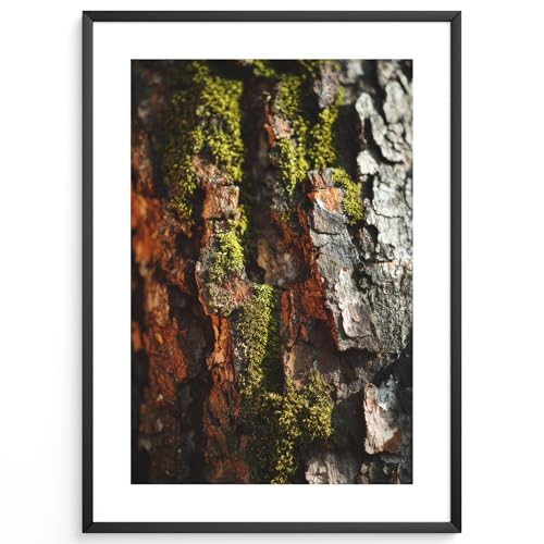 MJ-GRAPHICS® Baumrinde Moos Poster Wandbild Herbst Natur Braun Grün Fine Art Look für Wohnzimmer oder Eingangsbereich – A2 Poster mit Rahmen Holz Schwarz von MJ-GRAPHICS