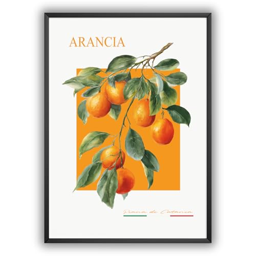 MJ-GRAPHICS® Poster Orange Obstbild Bild Küche Esszimmer Wohnzimmer Poster Wandbilder A4 Zitrusfrucht Wanddeko Italienisch Modern Stil – ohne Rahmen von MJ-GRAPHICS