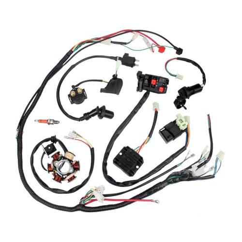 Motorradzündungsschalter Set kompatibel mit Dirt Bike ATV GY6 125cc 150cc Complete Kabelbaumbaugruppe und Anpassung von MJAYBZFQ