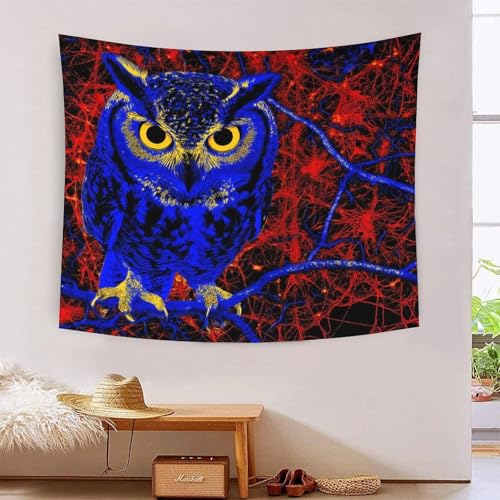 3D Druck Owl Wandteppiche Poster Ornament Wandbehang Wandteppich Wanddeko Wandbehang Für Jungen Mädchen Raumdekoration Tapisserie 100cmx150cm 3D Druck Owl Wandteppiche Poster Ornament Wandbehang Wandteppich Wanddeko Wandbehang Für Jungen Mädchen Raumdekoration Tapisserie 100cmx150cm von MJFCoin