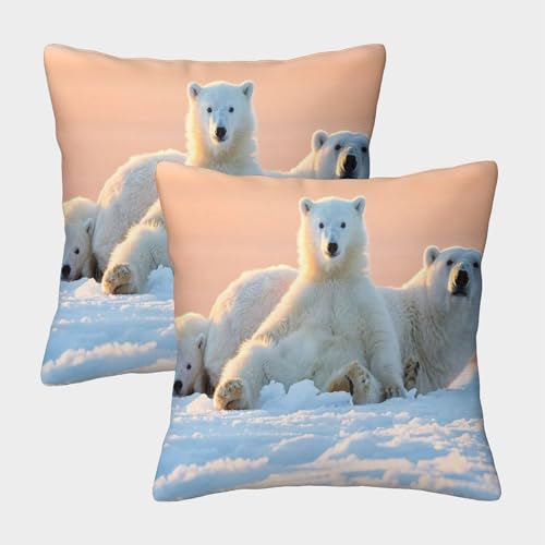 Eisbär Kuschelige Kissenbezug 2er Set Für Kinder - Schnee Dekorative Bezüge Für Sofa - Mit Reißverschluss, Geeignet Für Jungen Und Mädchen 40x40cm von MJFCoin