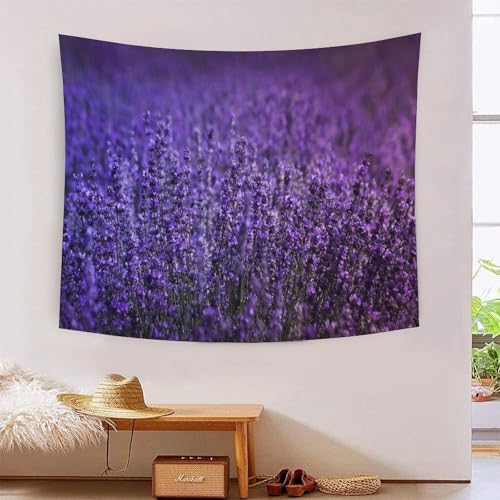 MJFCoin 3D Druck Lavender Wandteppiche Poster Ornament Wandbehang Wandteppich Raumteiler Vorhang Für Wohnzimmer Schlafzimmer Tapisserie 180cmx230cm MJFCoin 3D Druck Lavender Wandteppiche Poster Ornament Wandbehang Wandteppich Raumteiler Vorhang Für Wohnzimmer Schlafzimmer Tapisserie 180cmx230cm von MJFCoin